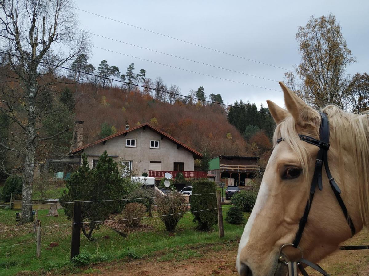 L'Echappee Verte - Gite Equestre 5 Pers Soucht Buitenkant foto