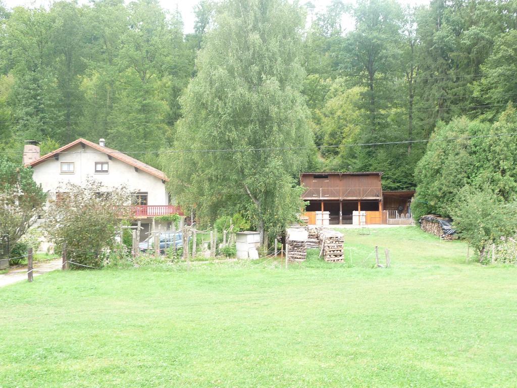 L'Echappee Verte - Gite Equestre 5 Pers Soucht Kamer foto