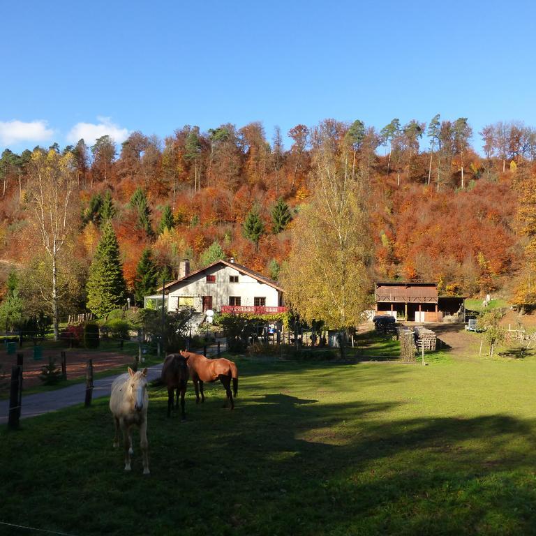 L'Echappee Verte - Gite Equestre 5 Pers Soucht Kamer foto