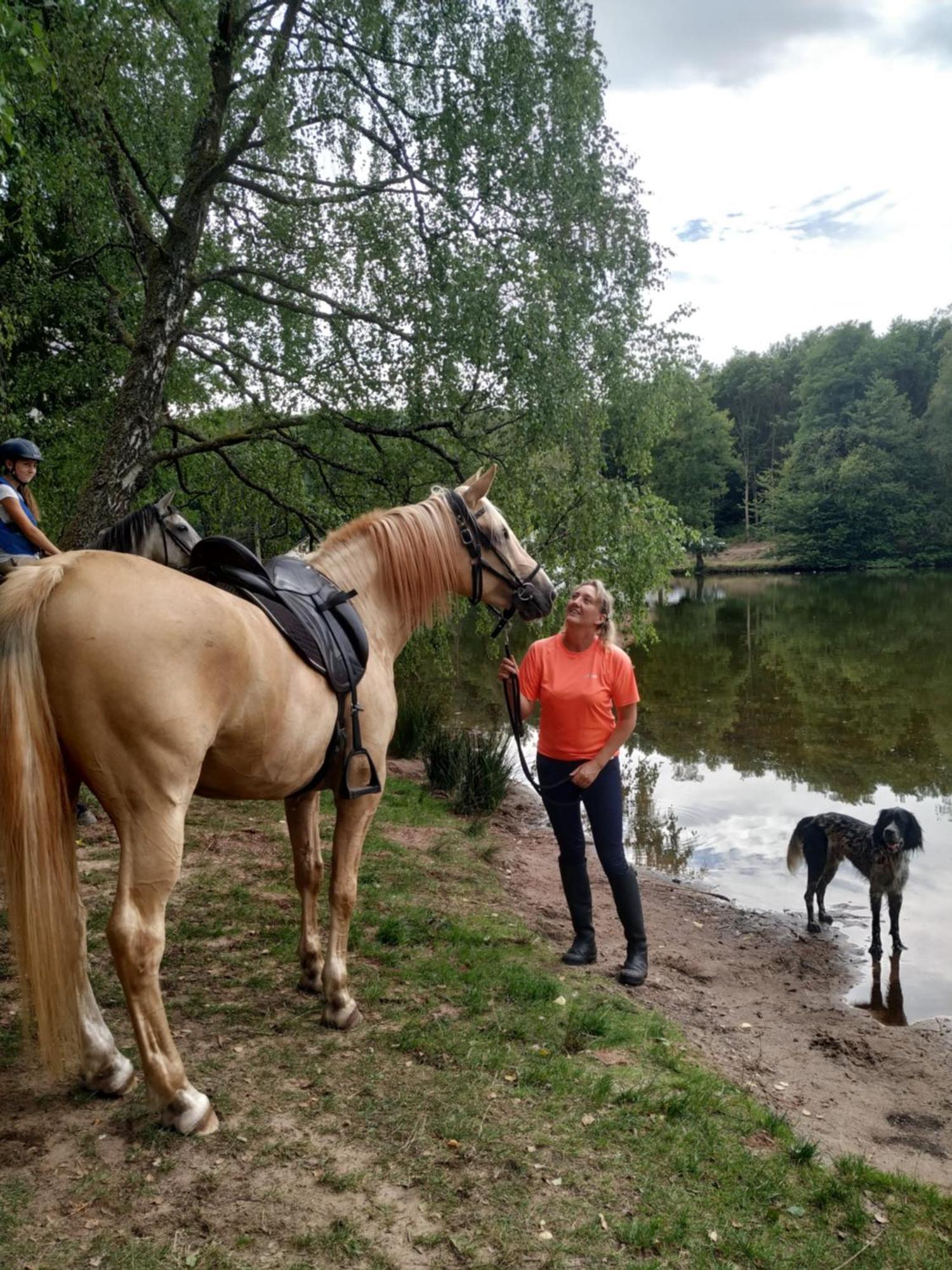 L'Echappee Verte - Gite Equestre 5 Pers Soucht Buitenkant foto
