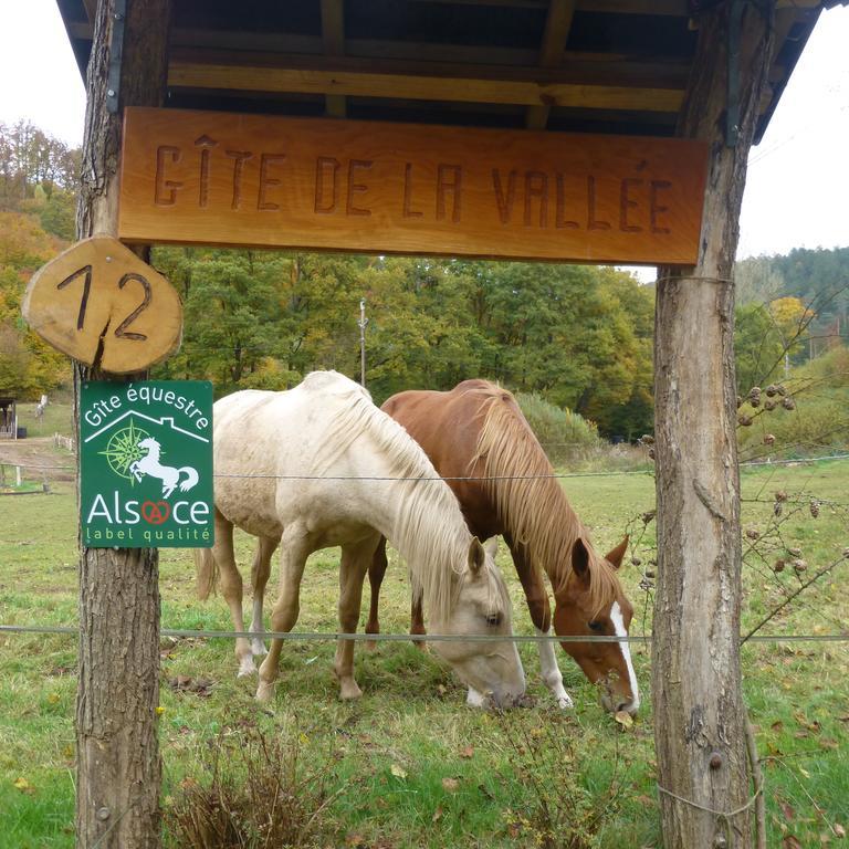 L'Echappee Verte - Gite Equestre 5 Pers Soucht Buitenkant foto
