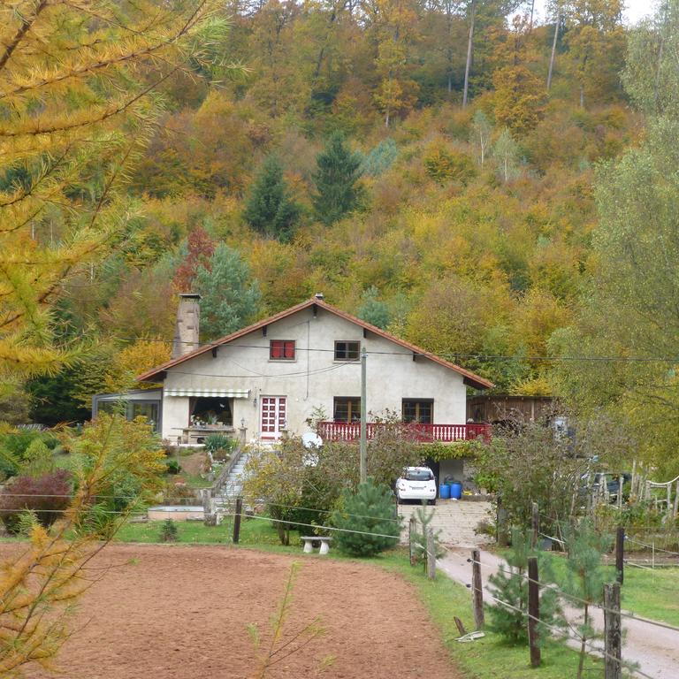 L'Echappee Verte - Gite Equestre 5 Pers Soucht Buitenkant foto