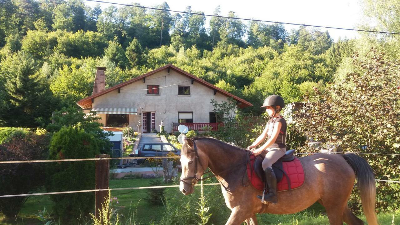 L'Echappee Verte - Gite Equestre 5 Pers Soucht Buitenkant foto