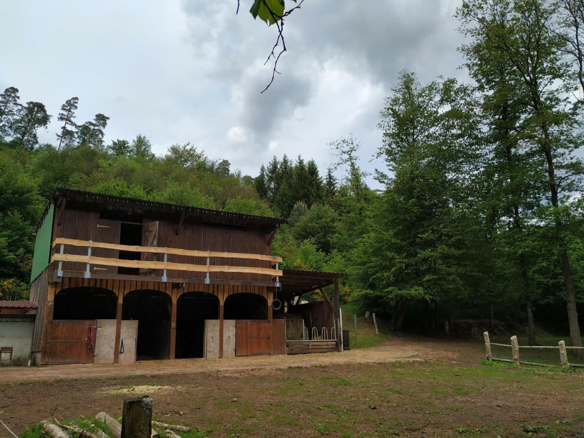 L'Echappee Verte - Gite Equestre 5 Pers Soucht Buitenkant foto